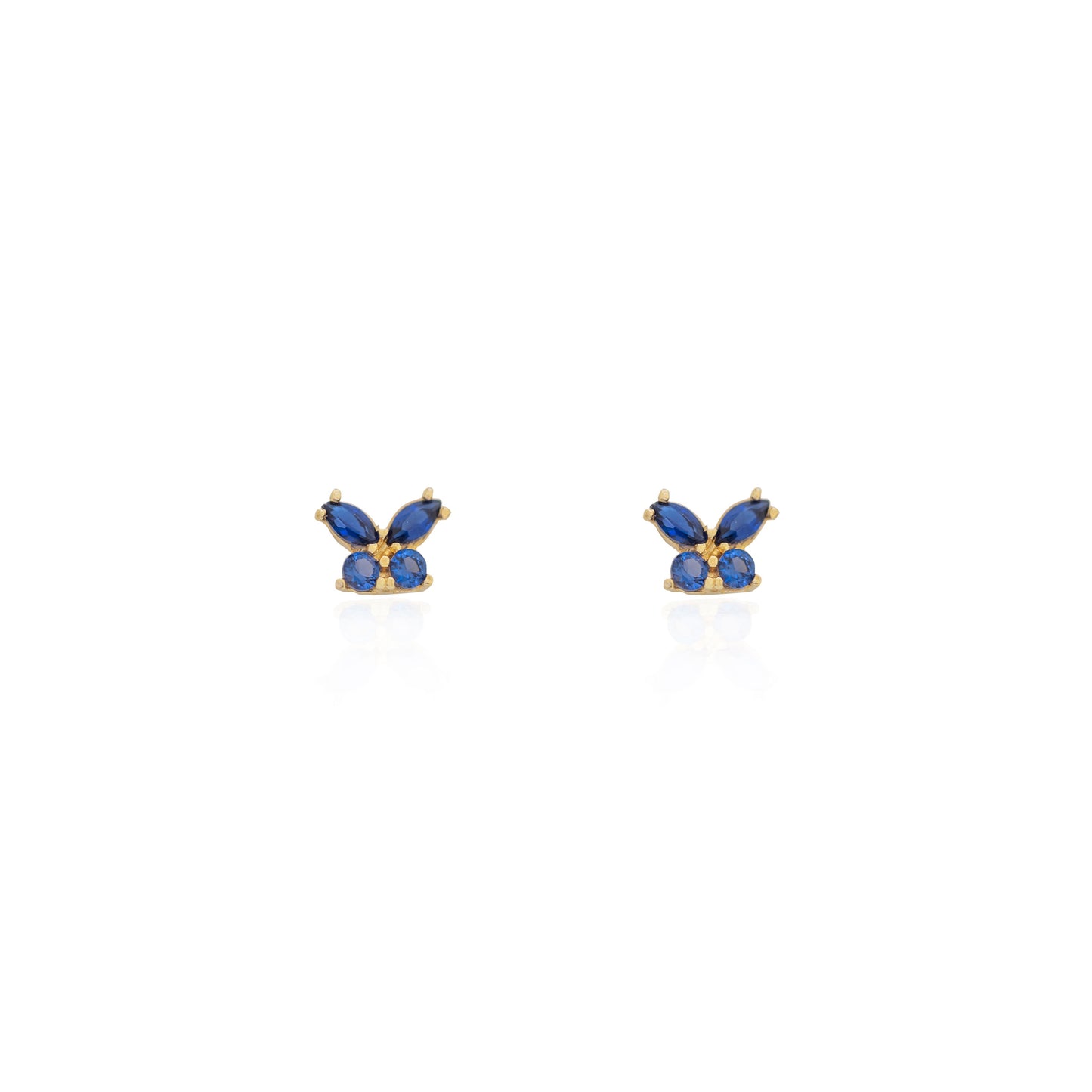 Blue Butterfly