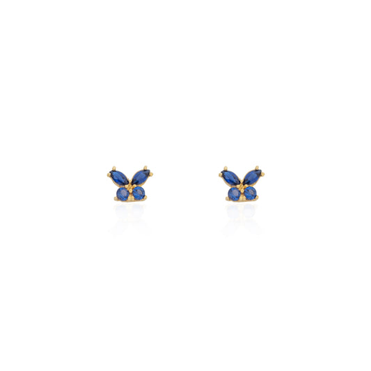 Blue Butterfly